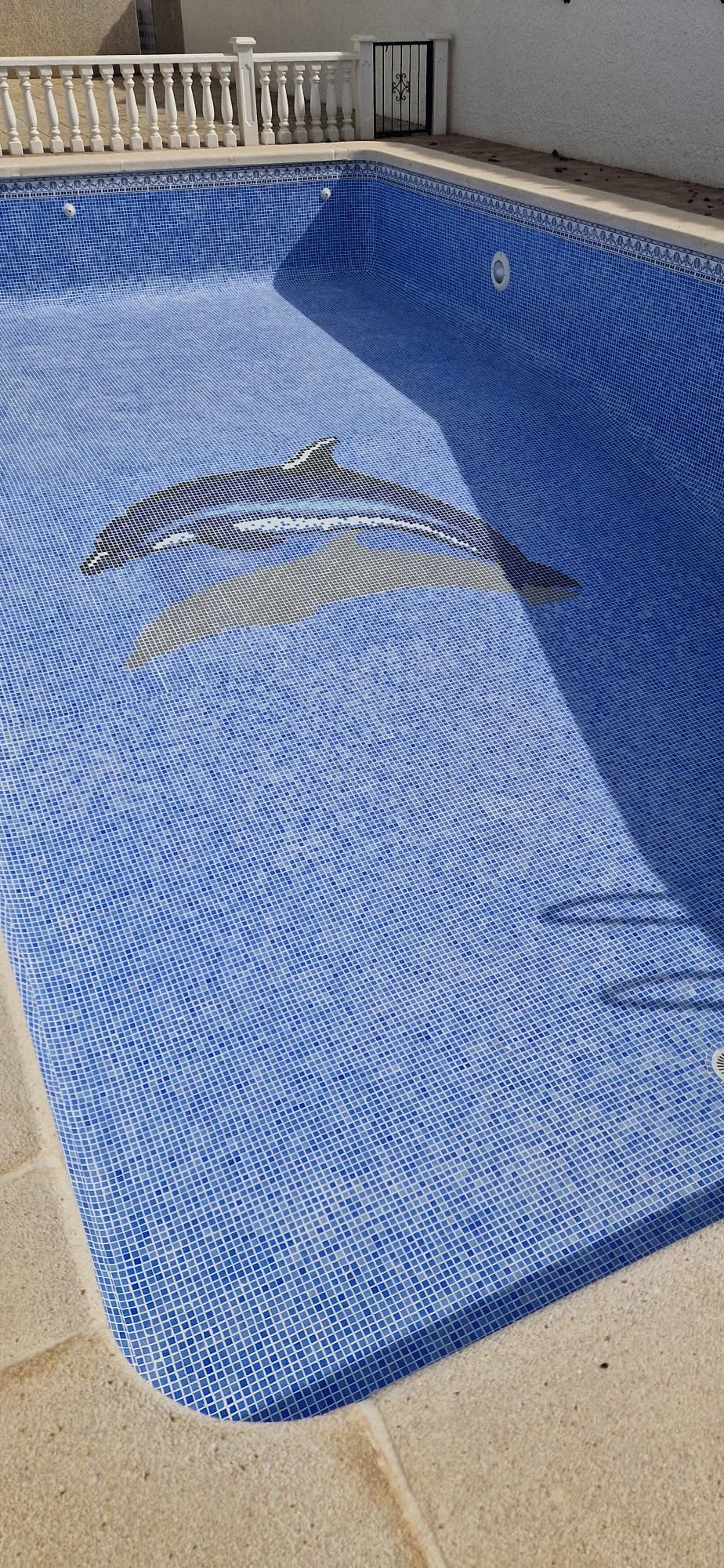 La misma piscina del delfín después del rejuntado, con el gresite limpio y la junta blanca